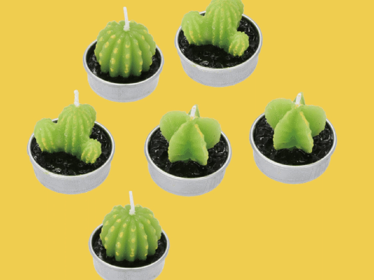 Plants shaped  candles